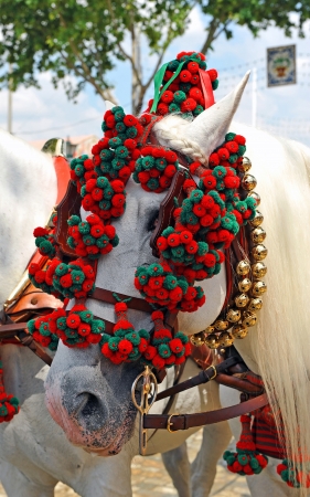 Feria de Sevilla, white horseの写真素材