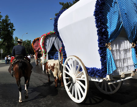 Brotherhood Carretas del Rocio in Sevilleのeditorial素材