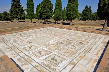 Roman Mosaic, Bird House, Roman city of Italica, Spainの写真素材