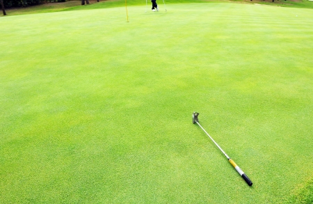 Brat on the green of the golf courseの写真素材