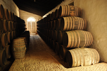 Old wine barrels in the cellar