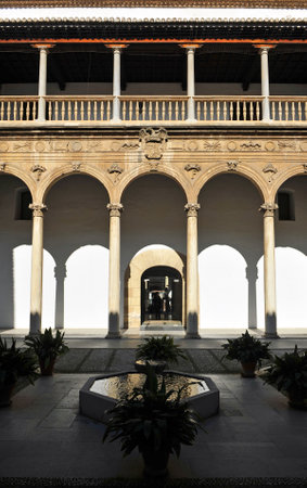 Renaissance architecture of Granada, courtyard of the Hospital Real, Andalucia, Spainのeditorial素材