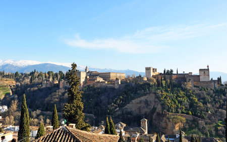 Palace of the Alhambra in Granada viewed from the Mirador de San Nicolas, Granada, Andalusia, Spainのeditorial素材