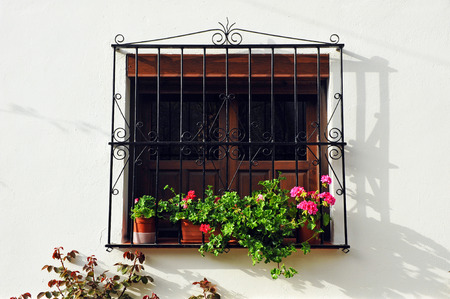 Window with geraniums