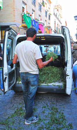 Van, man on the streets distributing rosemary, Corpus Christi in Andalucia, traditional sceneのeditorial素材