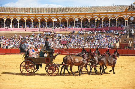 Horse carriages in bullring Maestranza, spectacular exhibit, Seville, Andalusia, Spainのeditorial素材