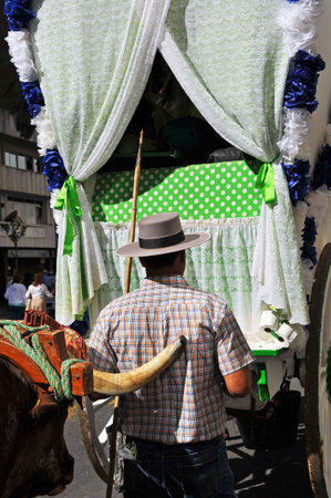 Carriage of oxen, the pilgrimage of El Rocio at streets of Seville, Spainのeditorial素材