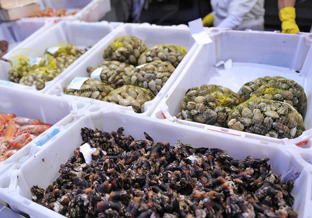 Sale of seafood in the market, barnacle, clams and langoustinesの写真素材