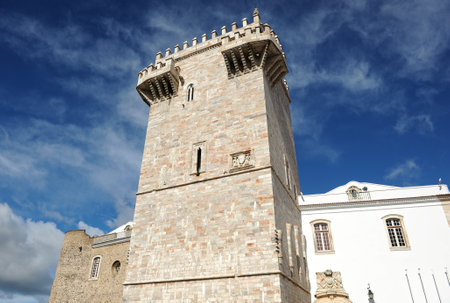 Homage Tower or Tower of the three crowns, Castle of Estremoz, Alentejo, Portugalのeditorial素材