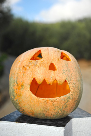 Halloween pumpkinの写真素材