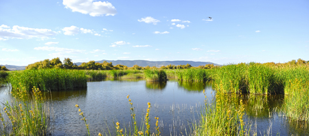 Tablas de Daimiel National Park, Castilla la Mancha, Spain