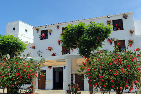 Andalusian architecture with flower pots in Conil de la Frontera, Costa de la Luz, Cadiz province, Spainのeditorial素材