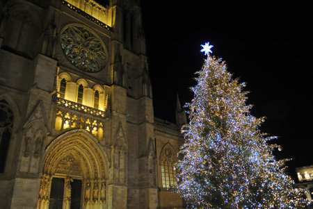 Christmas tree in front of Cathedral of Saint Andrew, Bordeaux, Franceのeditorial素材