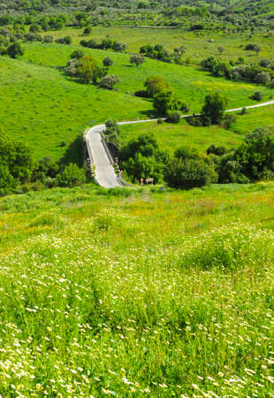 Landscape of Los Alcornocales Natural Park Andalusia Spain. Mountain road and bridge over the Guadiaro river near El Colmenar.の写真素材