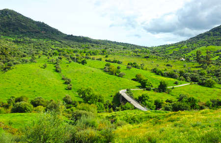 Mountain road and bridge over the Guadiaro river near El Colmenar. Los Alcornocales Natural Park in Malaga province Andalusia Spainの写真素材