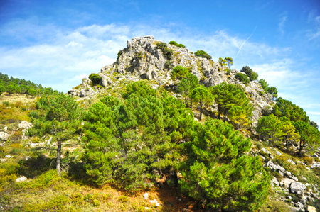 Sierra de Grazalema Natural Park for hiking among pine forests in the province of Cadiz, Andalucia Spainの写真素材