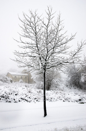 Heavy snowfall in the mountains of the Basque Countryの写真素材