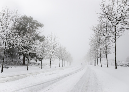 Heavy snowfall in the mountains of the Basque Countryの写真素材