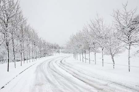 Heavy snowfall in the mountains of the Basque Countryの写真素材