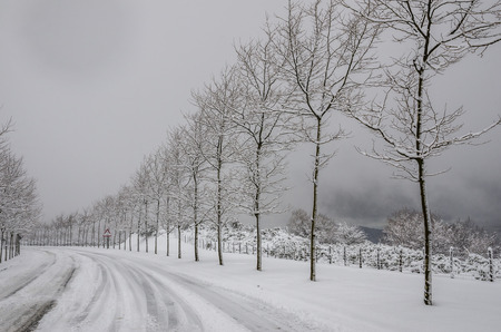 Heavy snowfall in the mountains of the Basque Countryの写真素材