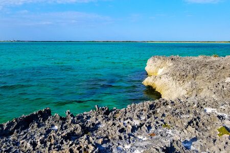 shore of the coast with a blue sky