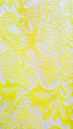 Fluorescent Yellow Floral Laceの写真素材