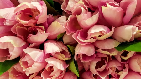 Artificial Pastel Pink Rosesの写真素材