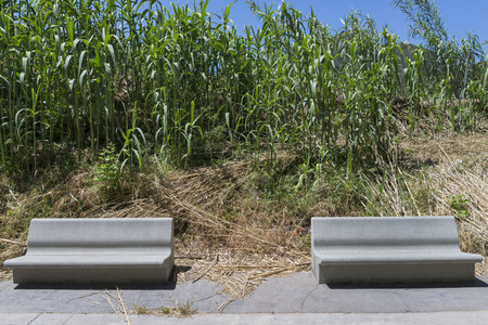 Stone benches.