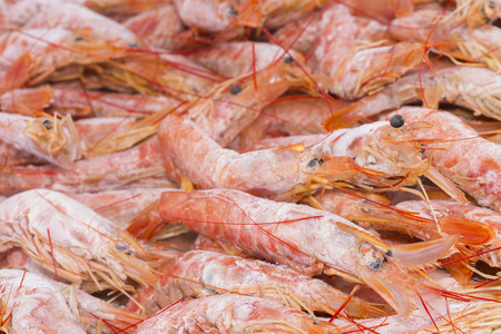Prawns.の写真素材