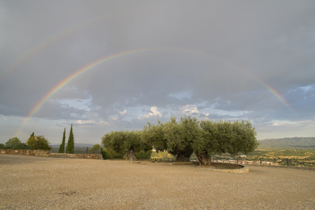 Rainbow.の写真素材