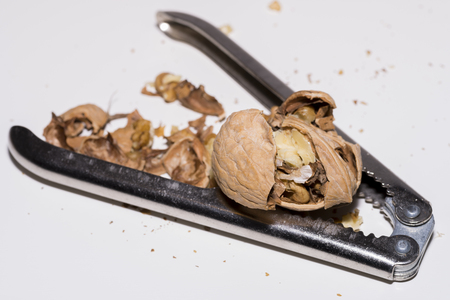 Nuts.の写真素材