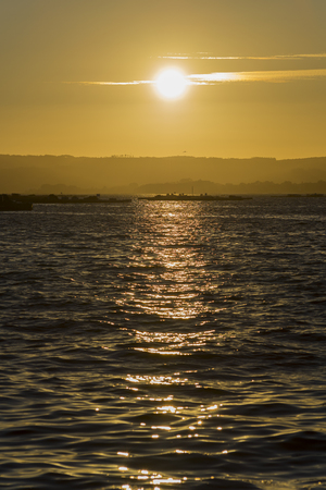 Mussel cultivation.の写真素材
