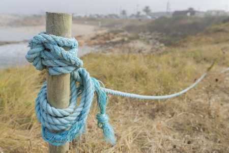 Edge.の写真素材