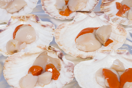 Scallops.の写真素材