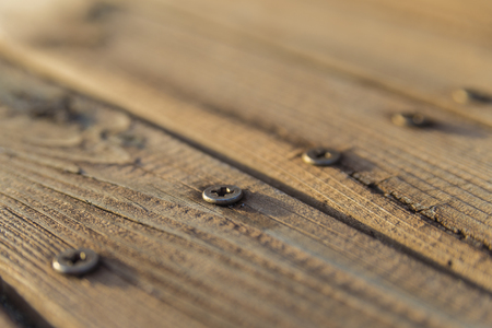 Screws macro shot in wood.の写真素材