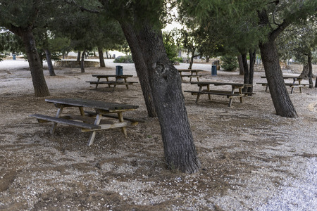 Picnic.の写真素材