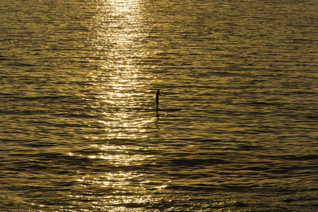 Paddle surf.の写真素材