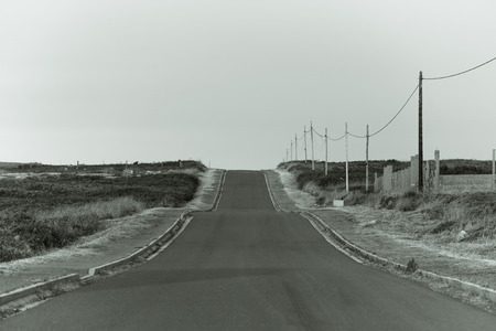Road.の写真素材