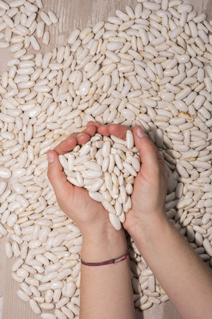 Broad beans.の写真素材