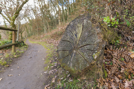 Hiking trail in Mino river (Lugo, Spain).の写真素材