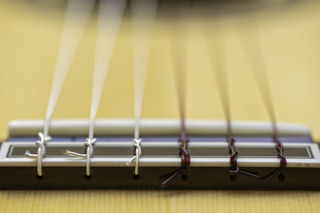 Knots of the strings of a guitar.