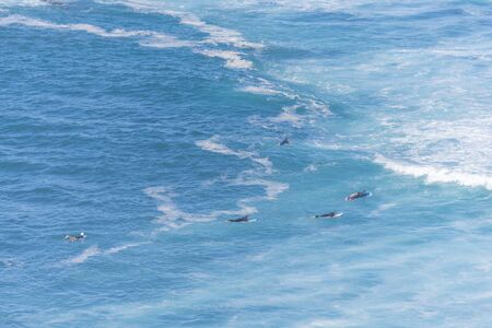 Suffer in the sea.の写真素材