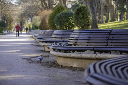 Wooden beneches in Alameda de Cervantes park (Soria, Spain).の写真素材