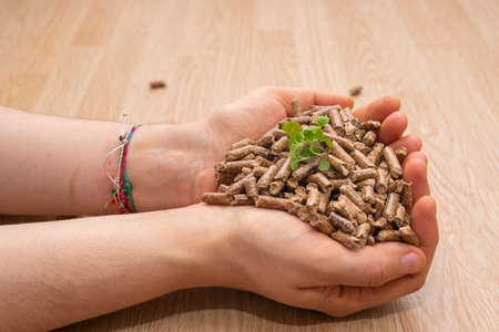 Pellet grains (biomass)