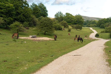 Hiking trail in Urbasa Natural Park (Navarra, Spain).