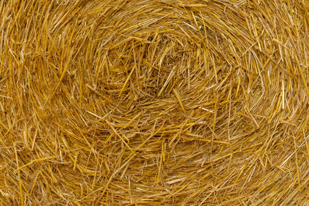 Texture of a straw roll.の写真素材