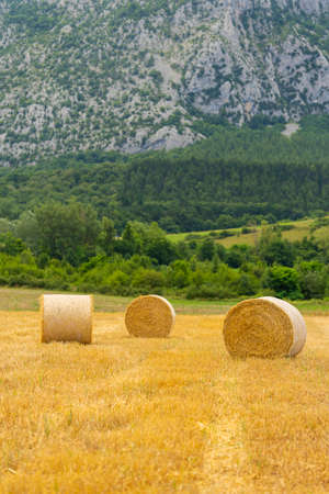 Straw rollers in the field.の写真素材