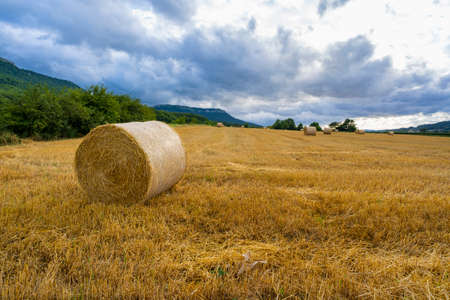 Straw rollers in the field.