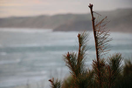 The Oceanの写真素材