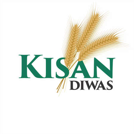 Hindi Typography - Kisan Diwas means Farmers Day. Conceptual Greeting Card for National Farmers Day, 23 December. Editable Illustration.のイラスト素材